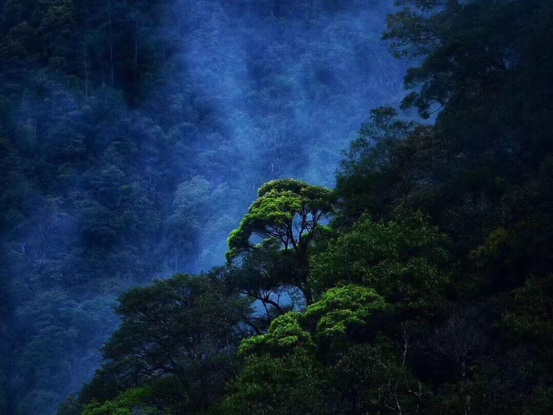 耐心是健身的最好朋友：不要轻易放弃，美好身材就在前方！