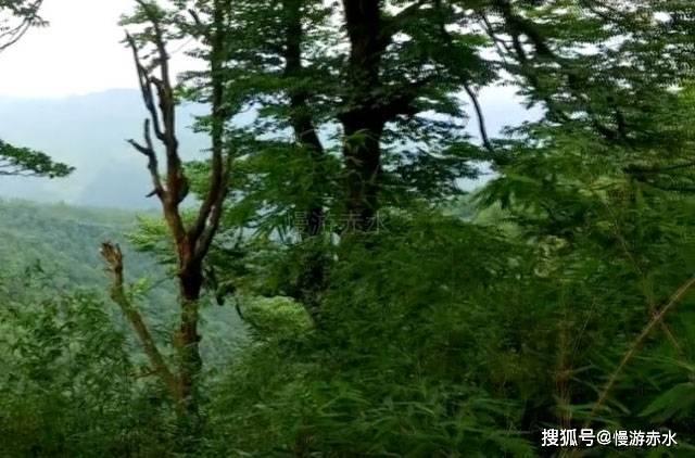 中世纪小镇找不同
