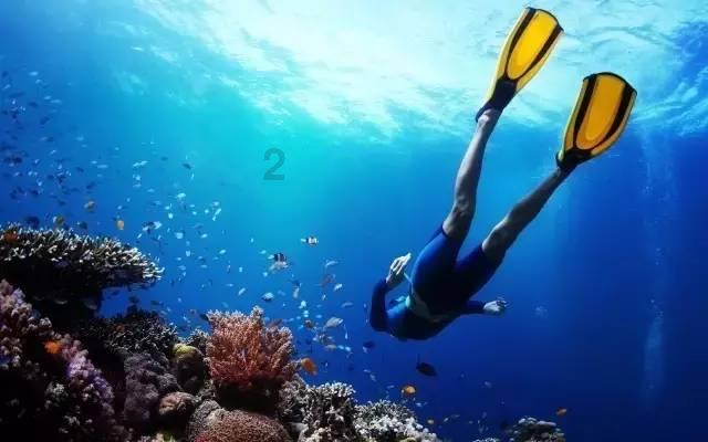 聚人气、汇商气 广元利州点燃“烟火气”