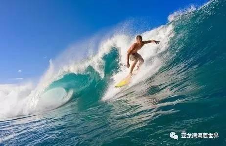 约6000平方米!浦江城区一公园的郁金香又种上了…