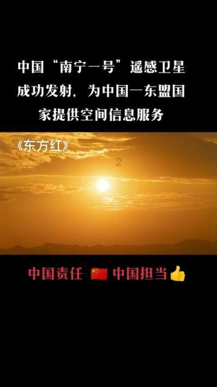 小乌龟逃亡记
