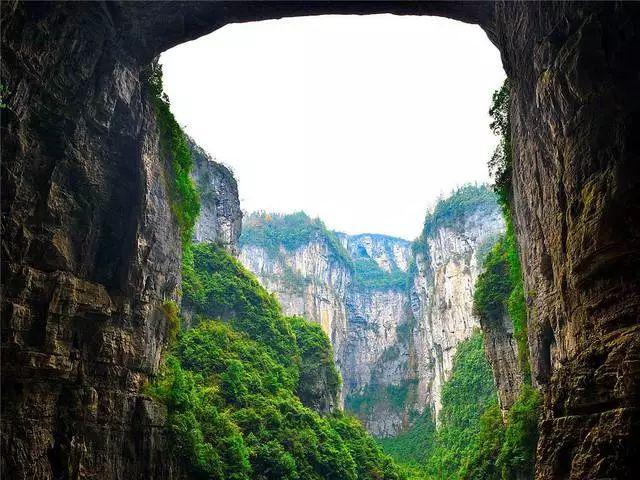 数码宝贝8