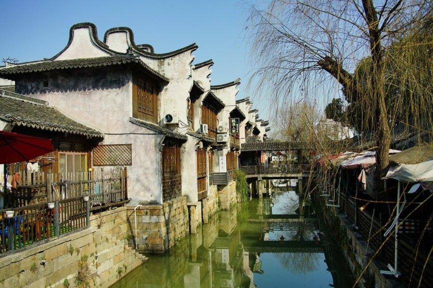 解救金刚鹦鹉