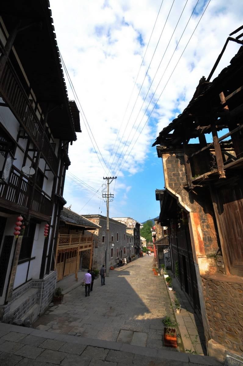 动物帮帮忙保卫家园
