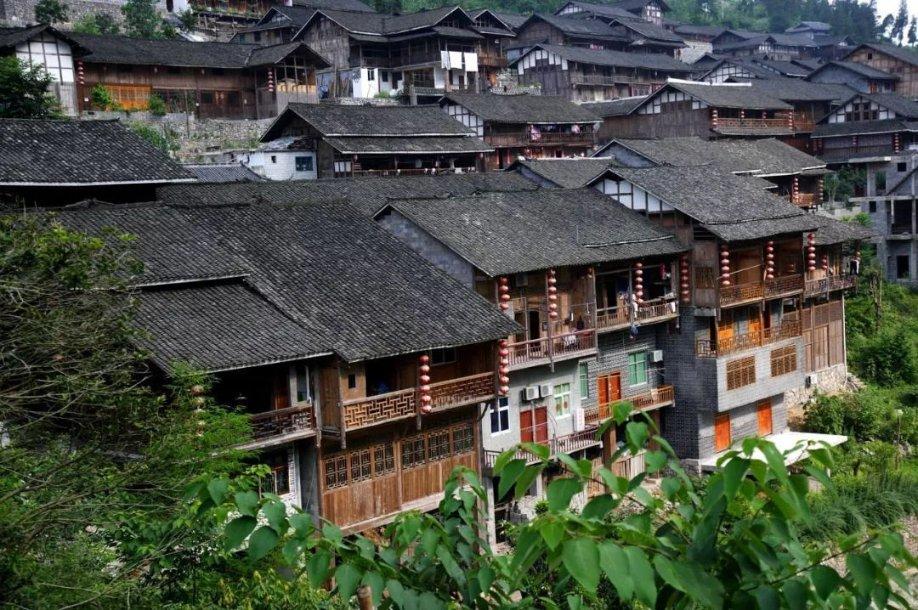 僵尸吃怪物