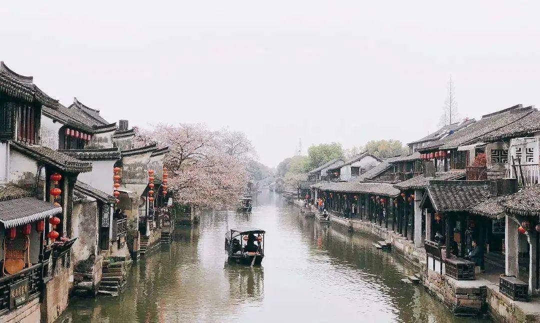 冷知识分享平台-手机剪辑软件无水印,了解奇闻异事